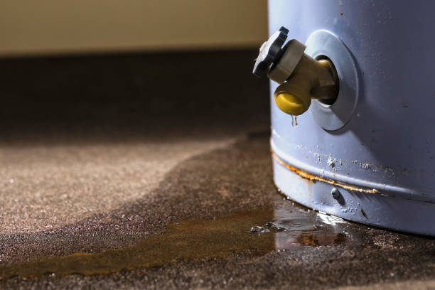 Best 24/7 water damage repair  in Lake Caroline, VA