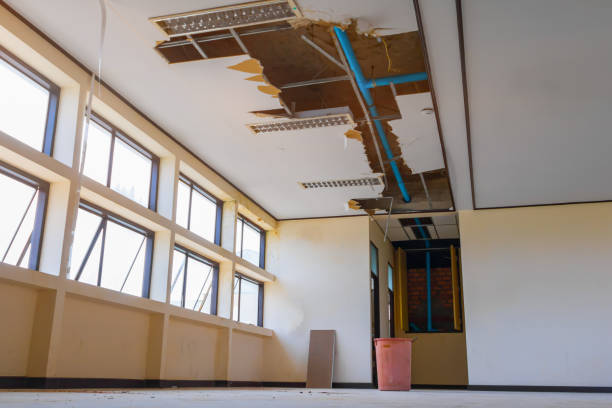 Best Carpet water damage restoration  in Lake Caroline, VA