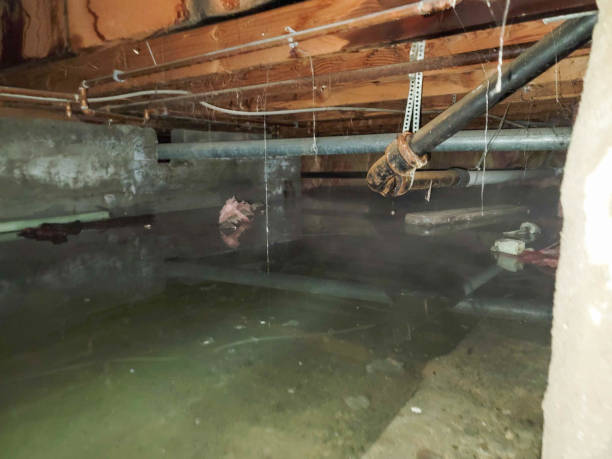 Best Commercial water damage restoration  in Lake Caroline, VA