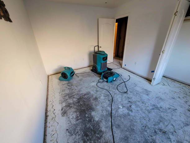 Best Basement water damage restoration  in Lake Caroline, VA