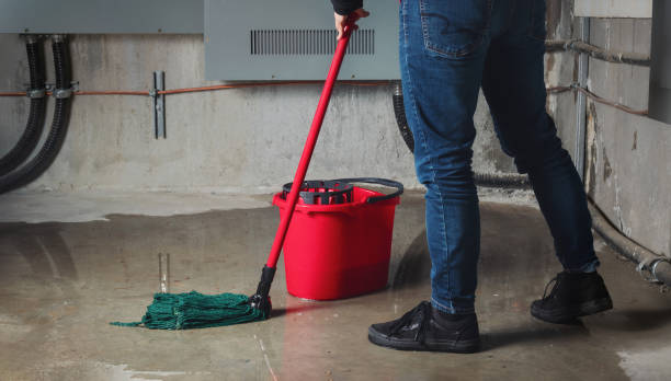 Best Ceiling water damage repair  in Lake Caroline, VA