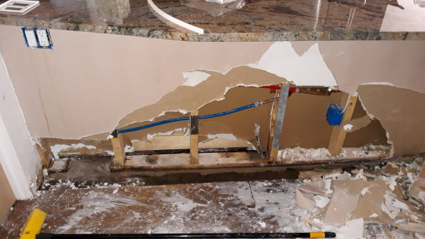 Best Professional water damage repair  in Lake Caroline, VA