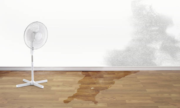 Best Local water damage restoration  in Lake Caroline, VA